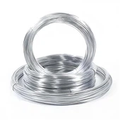 Gwifren ddur aloi fflat